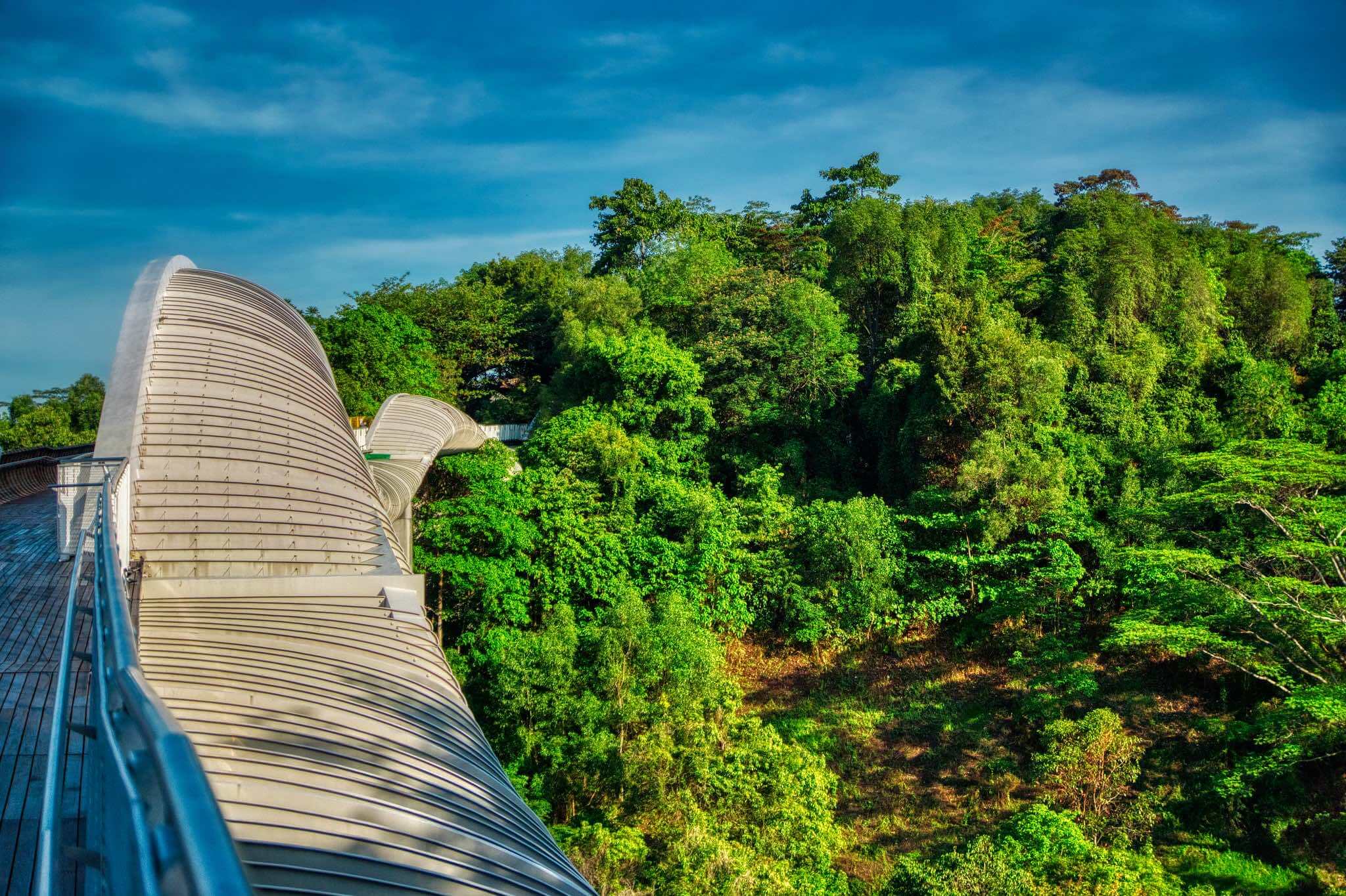 Southern Ridges Park Henderson Waves Bridge